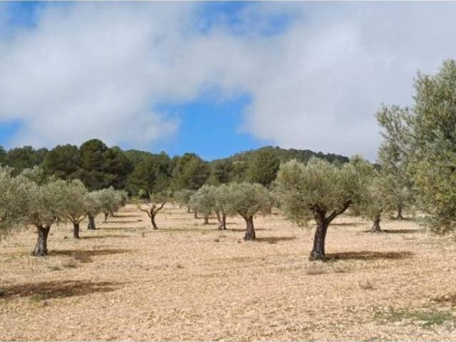 Terreno en venta en Yecla De Yeltes, Castilla y León