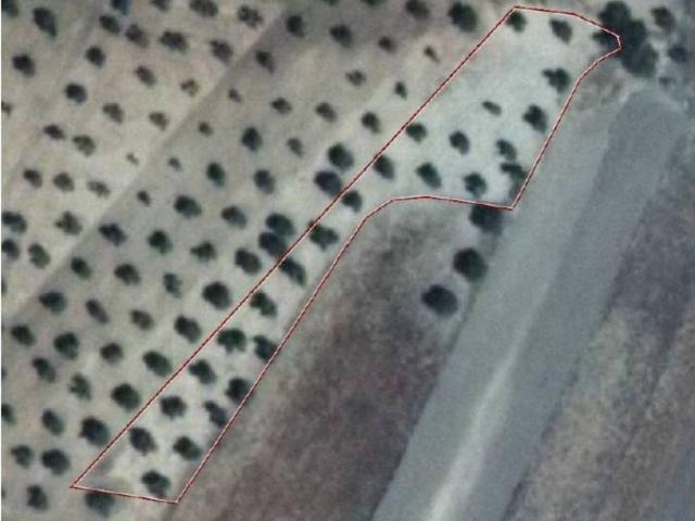 Terreno en venta en Yeles, Castilla-La Mancha