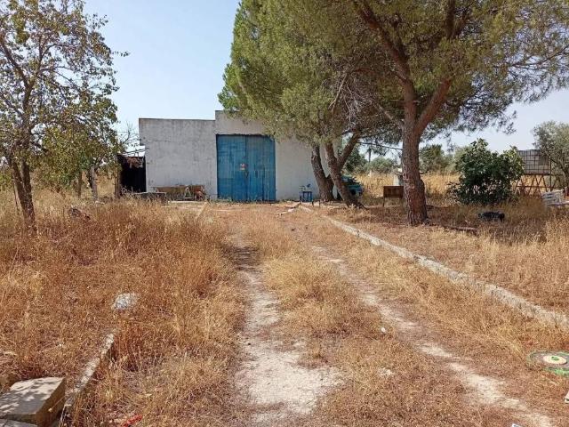 Terreno en venta en Yeles