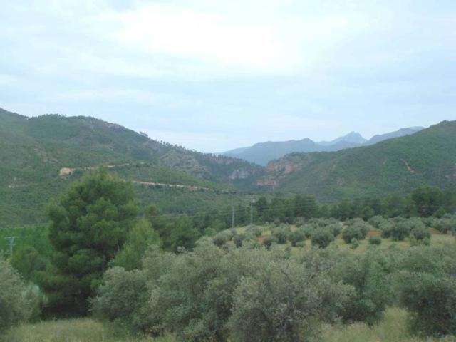 Terreno en venta en Yeste, Castilla-La Mancha