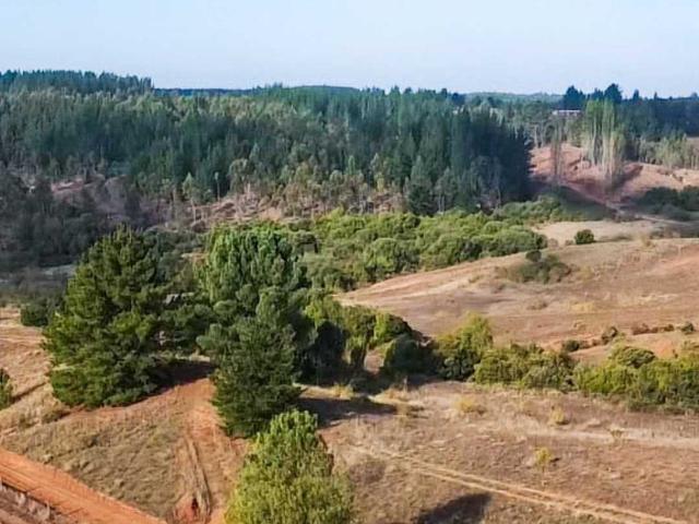 Terreno en venta en Alto Biobío, Biobío
