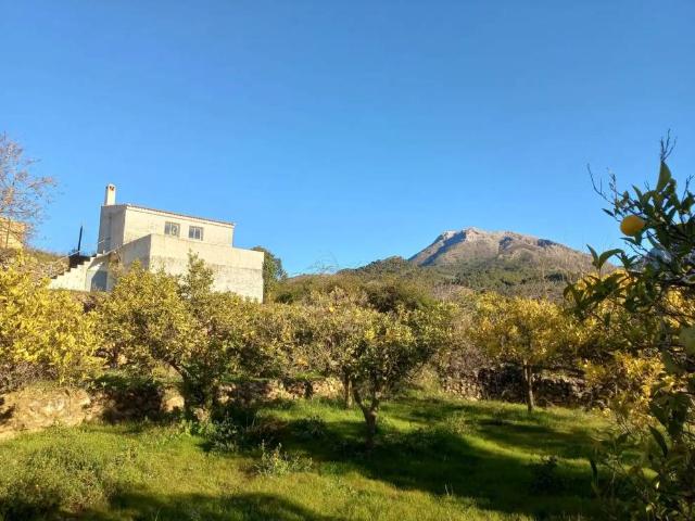 Terreno en venta en Sierra de las Nieves, Andalucía