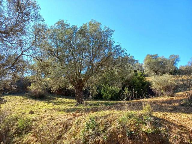 Terreno en venta en Sierra de las Nieves, Andalucía