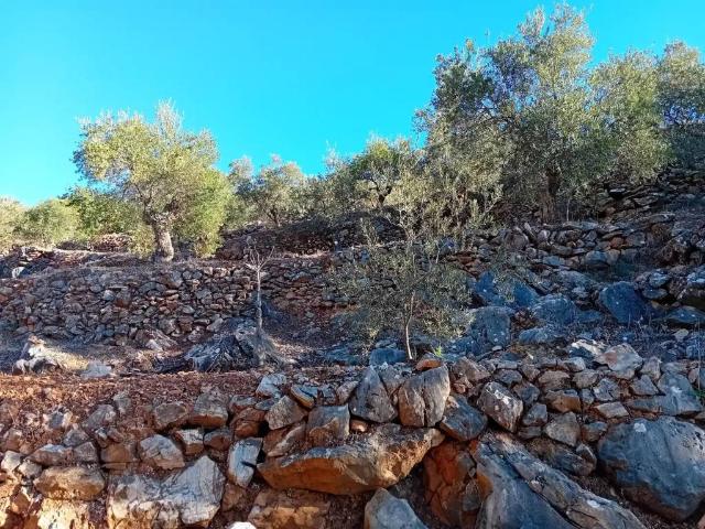 Terreno en venta en Sierra de las Nieves, Andalucía
