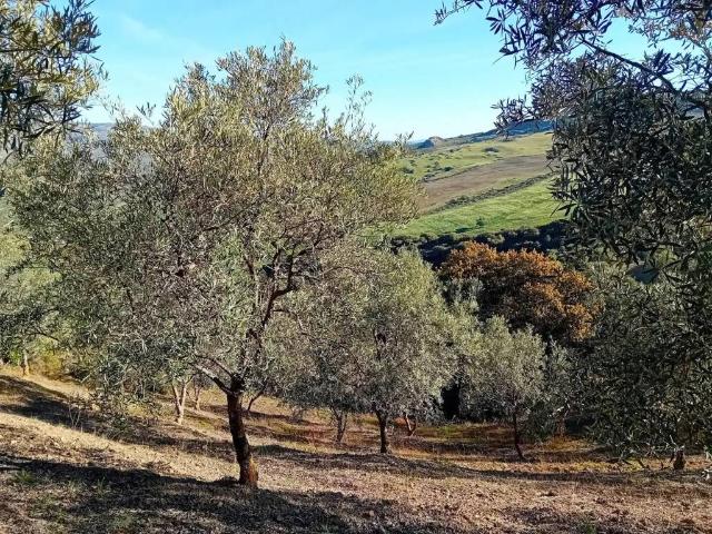 Terreno en venta en Sierra de las Nieves, Andalucía