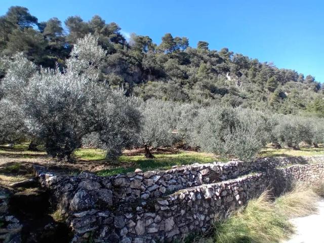 Terreno en venta en Sierra de las Nieves, Andalucía