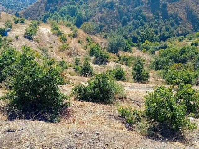 Terreno en venta en Sierra de las Nieves, Andalucía