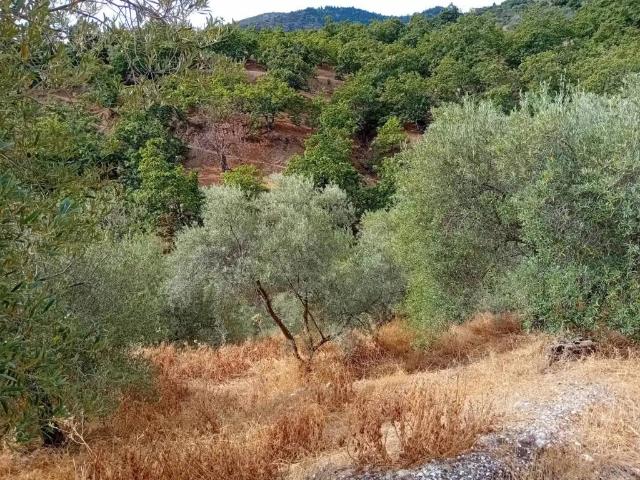 Terreno en venta en Sierra de las Nieves, Andalucía
