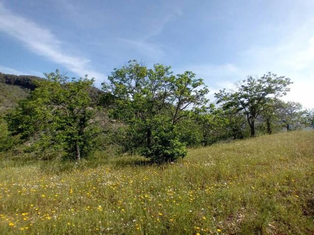 Terreno en venta en Sierra de las Nieves, Andalucía