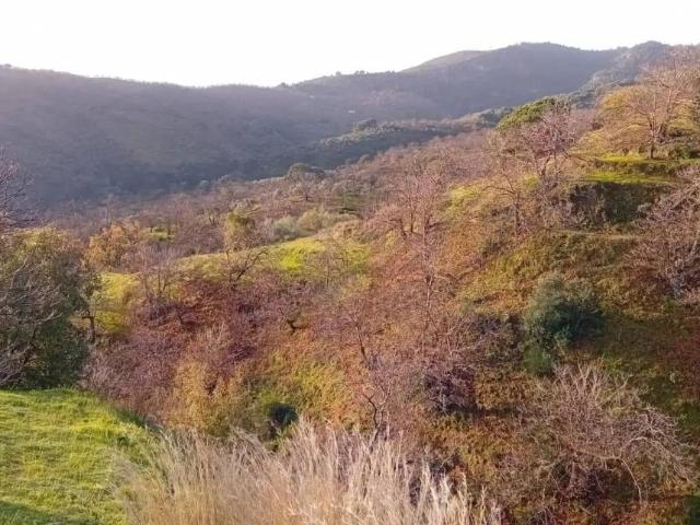 Terreno en venta en Sierra de las Nieves, Andalucía