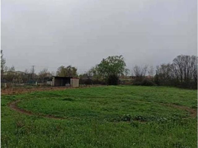 Terreno en venta en Yunquera De Henares Terreno en venta en Yunquera De Henares