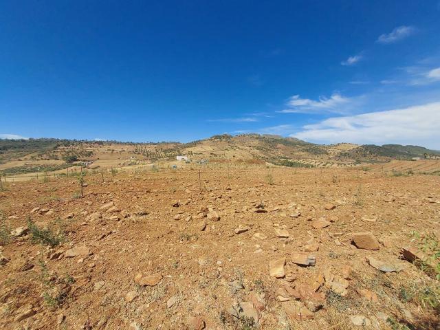 Terreno en venta en Zafra - Río Bodión, Extremadura