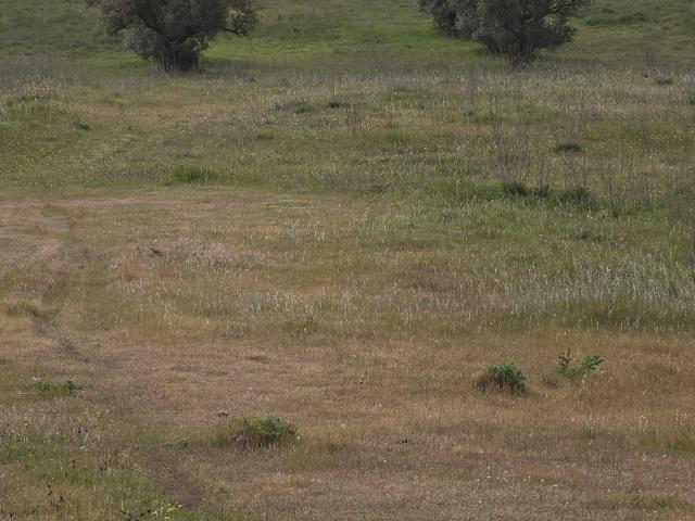 Terreno en venta en Zafra - Río Bodión, Extremadura