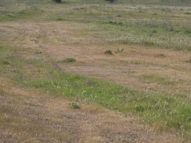 Terreno en venta en Zafra - Río Bodión, Extremadura