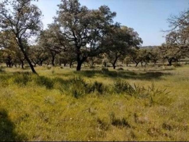 Terreno en venta en Zafra - Río Bodión, Extremadura