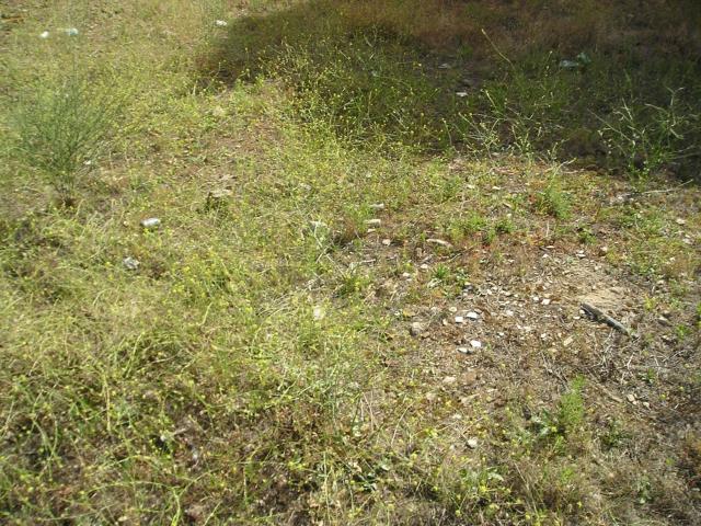 Terreno en venta en Zafra - Río Bodión, Extremadura