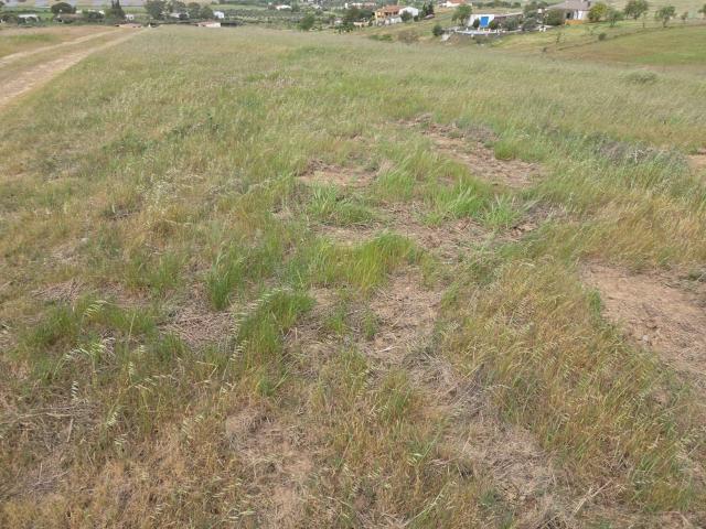 Terreno en venta en Zafra - Río Bodión, Extremadura