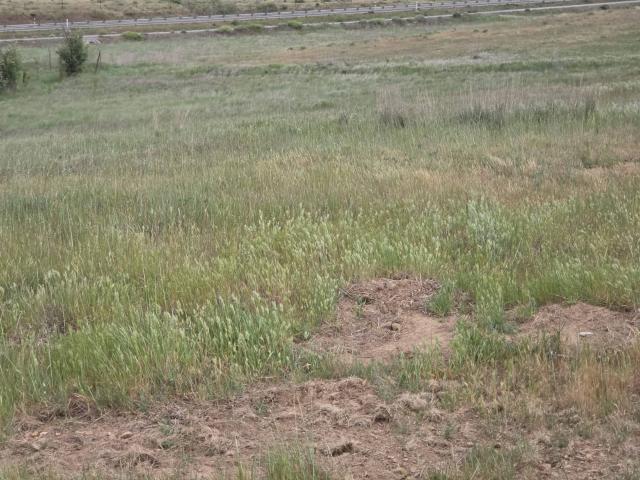 Terreno en venta en Zafra - Río Bodión, Extremadura
