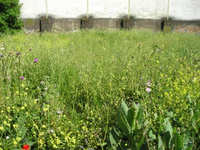 Terreno en venta en Zafra - Río Bodión, Extremadura