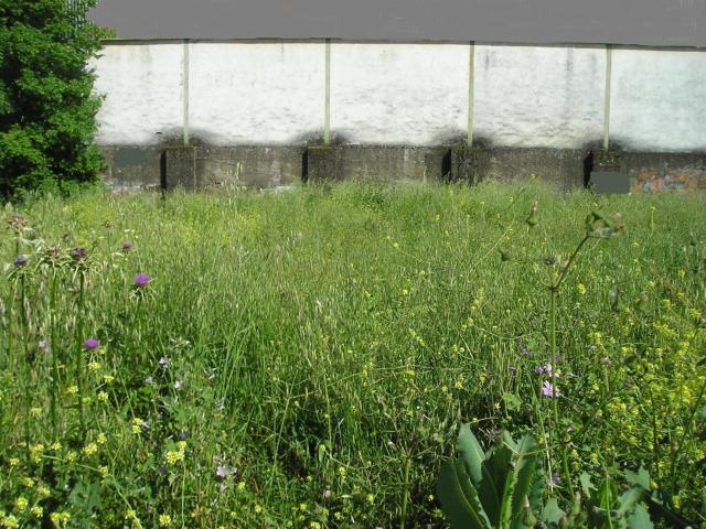 Terreno en venta en Zafra - Río Bodión, Extremadura