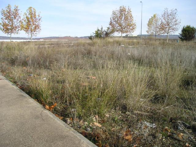 Terreno en venta en Zafra - Río Bodión, Extremadura