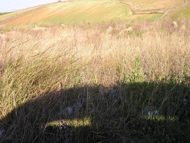 Terreno en venta en Zafra - Río Bodión, Extremadura