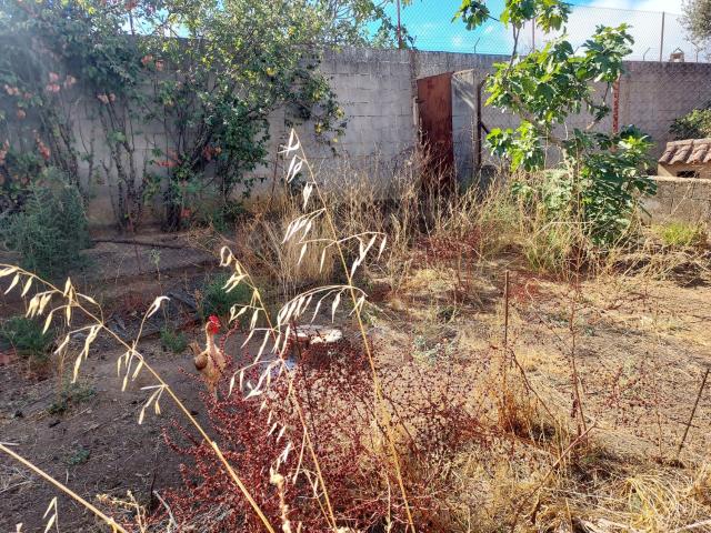 Terreno en venta en Zafra - Río Bodión, Extremadura