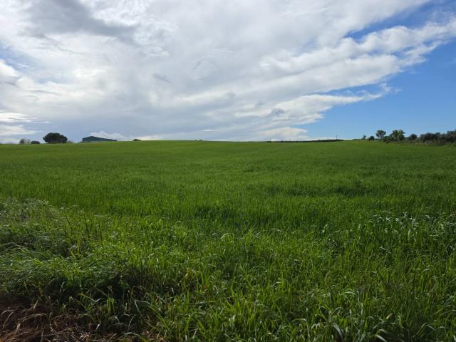 Terreno en venta en Zafra - Río Bodión, Extremadura