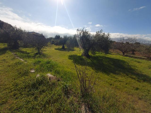 Terreno en venta en Zafra - Río Bodión, Extremadura