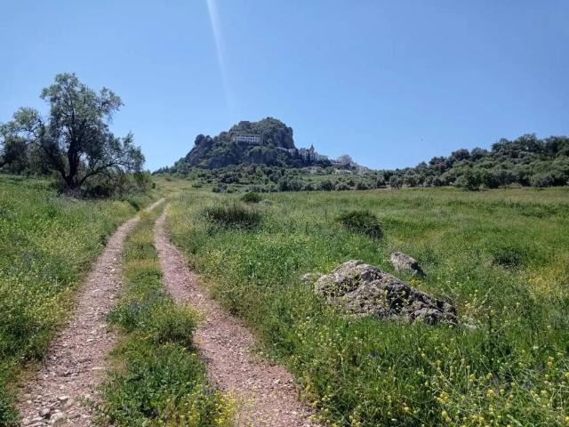 Terreno en venta en Sierra de Cádiz, Andalucía