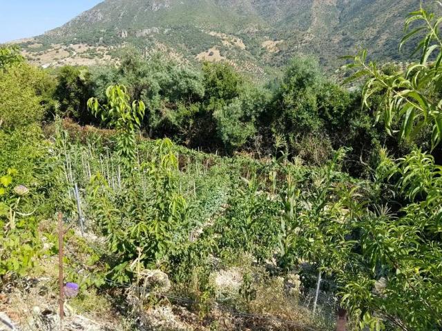 Terreno en venta en Sierra de Cádiz, Andalucía