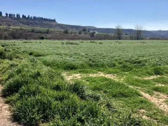 Terreno en venta en Bajo Cinca / Baix Cinca, Aragón