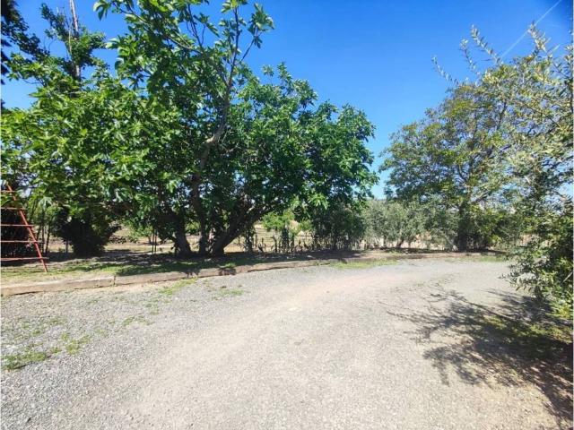 Terreno en venta en Bajo Cinca / Baix Cinca, Aragón