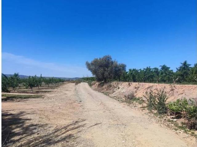 Terreno en venta en Bajo Cinca / Baix Cinca, Aragón