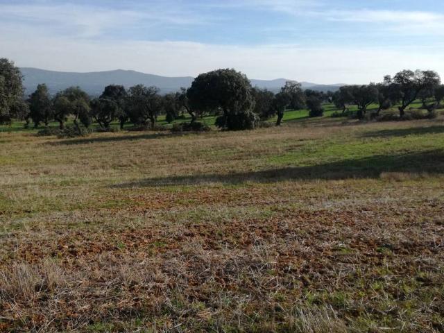 Terreno en venta en Zalamea De La Serena