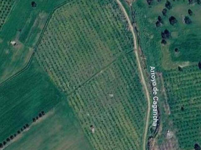 Terreno en venta en Zalamea De La Serena, Extremadura