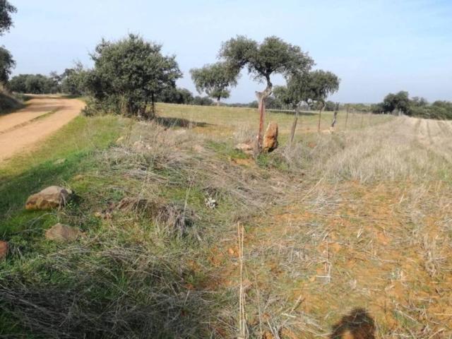 Terreno en venta en Zalamea De La Serena, Extremadura