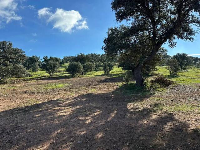 Terreno en venta en Zalamea De La Serena, Extremadura