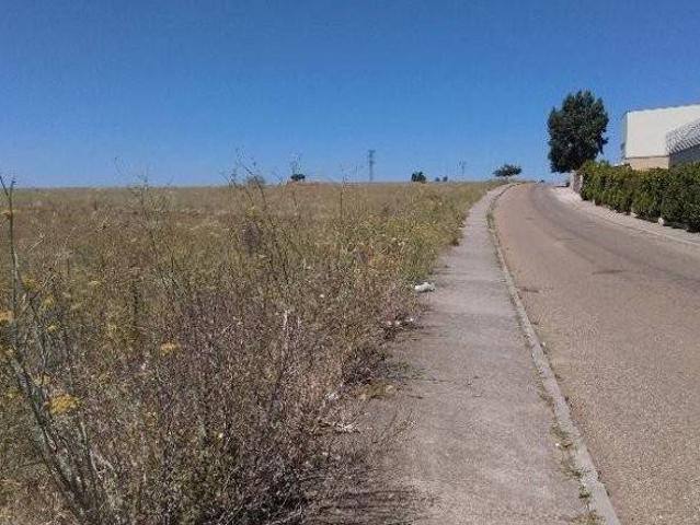 Terreno en venta en Zamora, Castilla y León