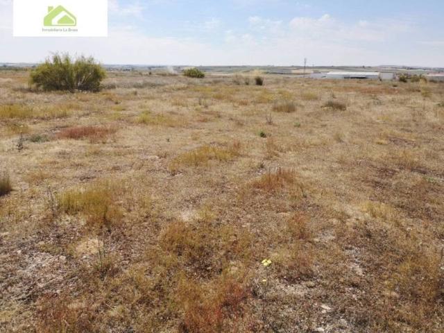 Terreno en venta en Zamora, Castilla y León