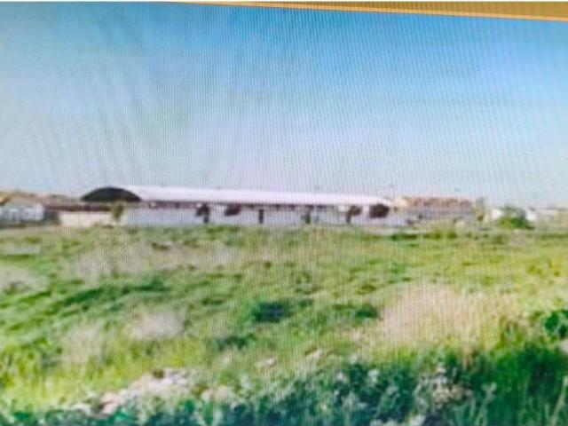 Terreno en venta en Zamora, Castilla y León