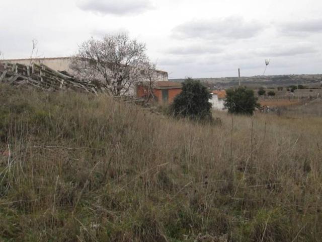 Terreno en venta en Zamora, Castilla y León