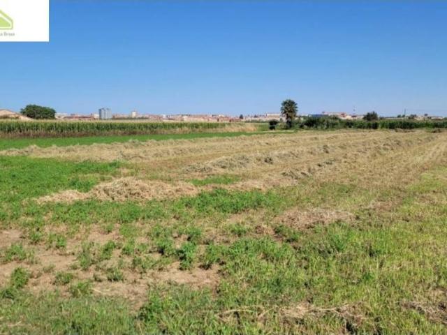 Terreno en venta en Zamora, Castilla y León