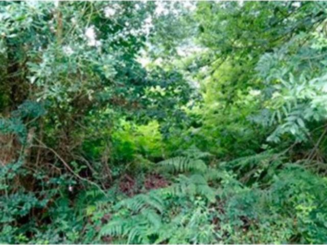 Terreno en venta en Zamudio, Guipúzcoa