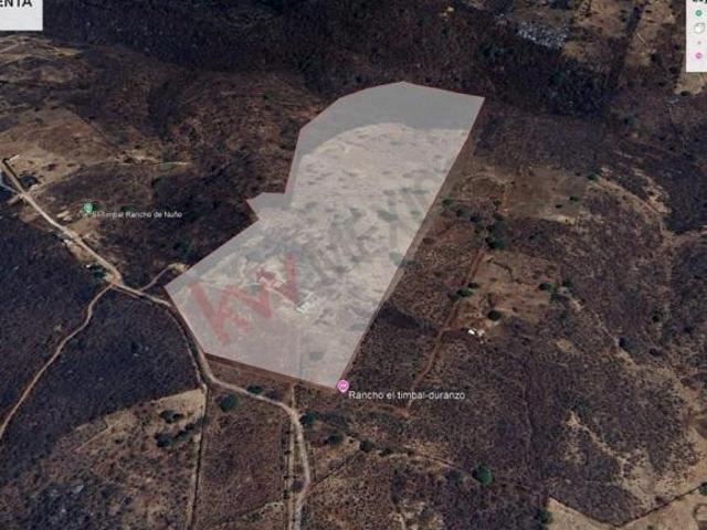 Terreno en venta en Zapotlanejo, Región Centro