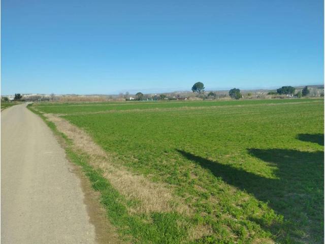 Terreno en venta en Zaragoza, Aragón