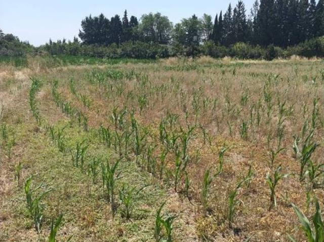 Terreno en venta en Zaragoza, Aragón