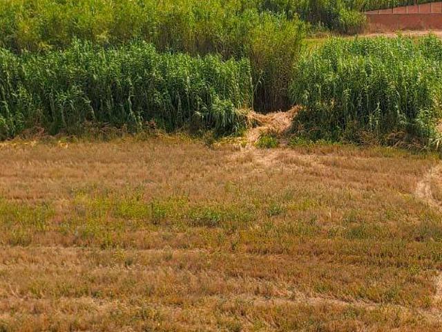 Terreno en venta en Distrito Rural, Zaragoza
