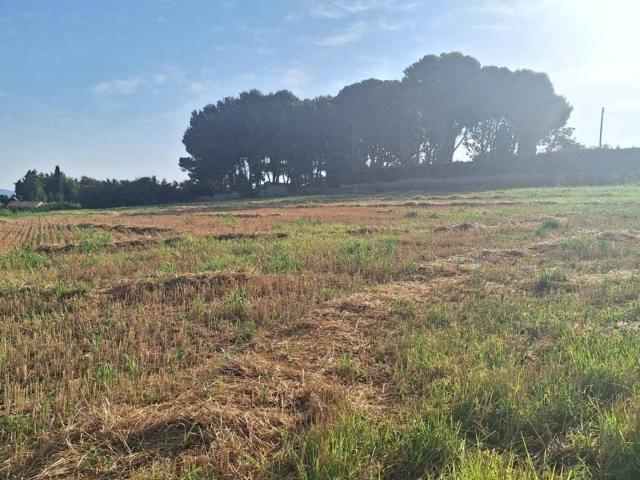 Terreno en venta en Distrito Rural, Zaragoza