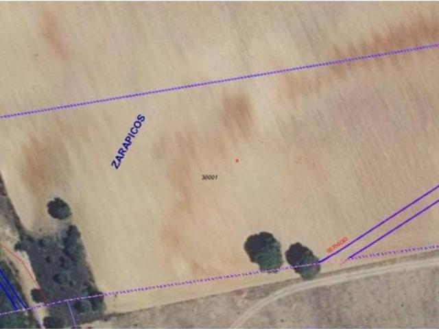 Terreno en venta en Zarapicos, Castilla y León